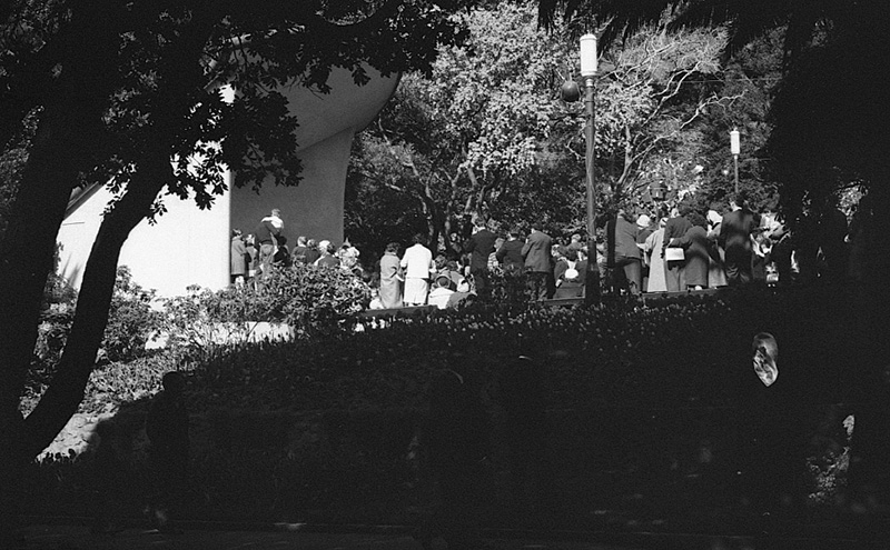 x. Tulip Sunday, Botanic Garden