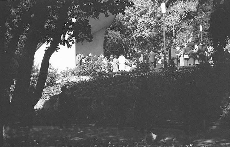 y. Tulip Sunday, Botanic Garden