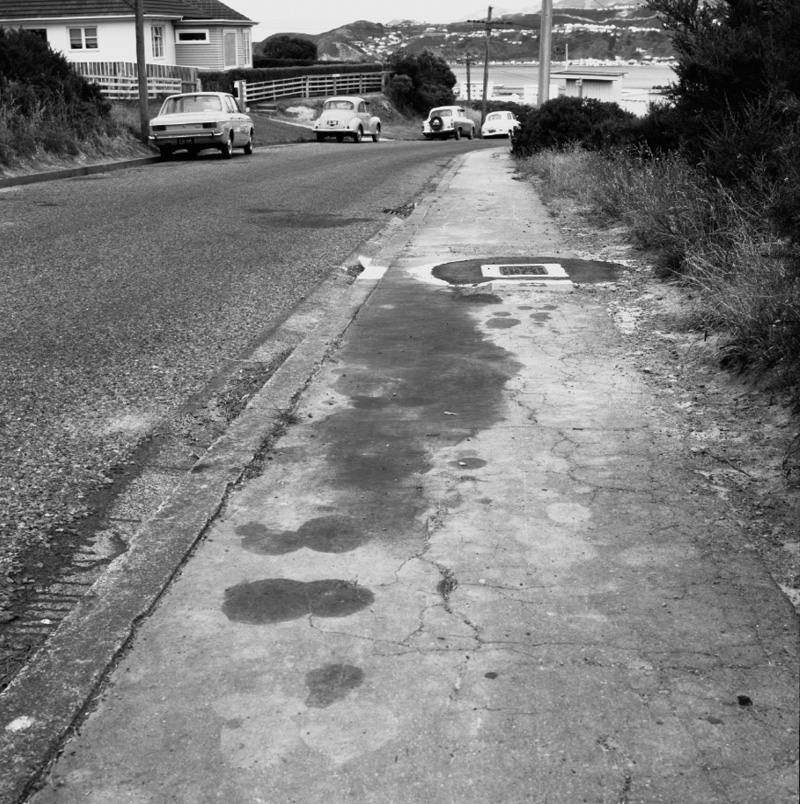 a. No 44 Kinghorne St