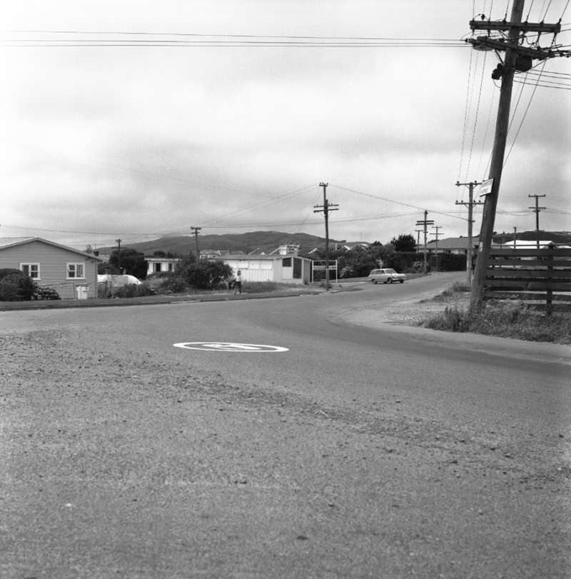 a. Fence, corner Broderick Road and Bannister Avenue