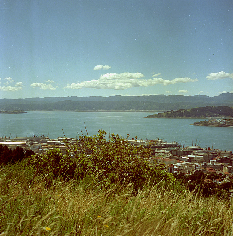 k. Scenes of Wellington