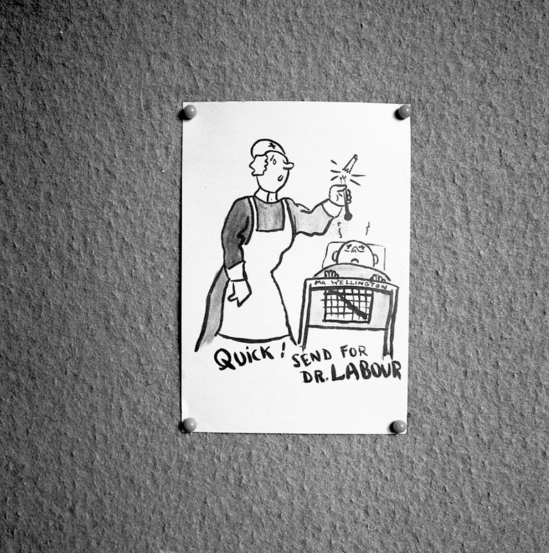 b. Copies of Cartoons