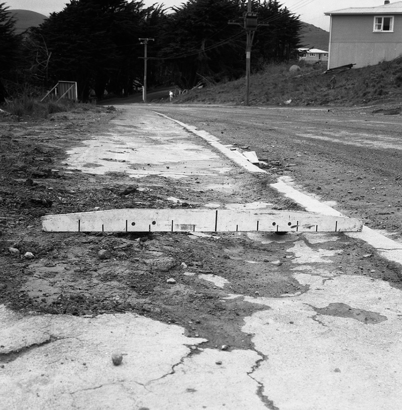 d. New Dwellings, 11 to 15 Kahikatea Grove, Newlands