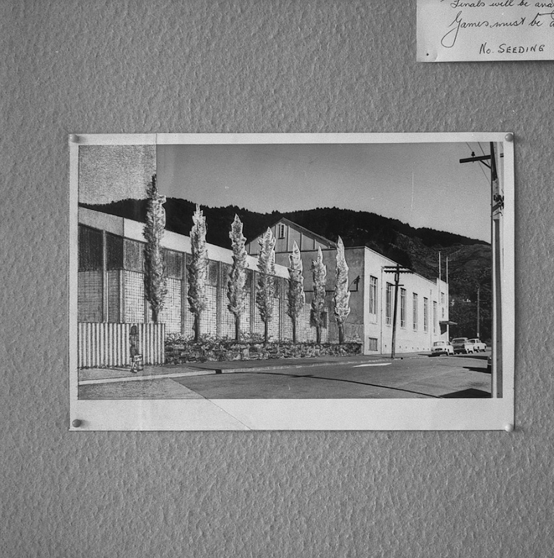 h. Copies of Cartoons