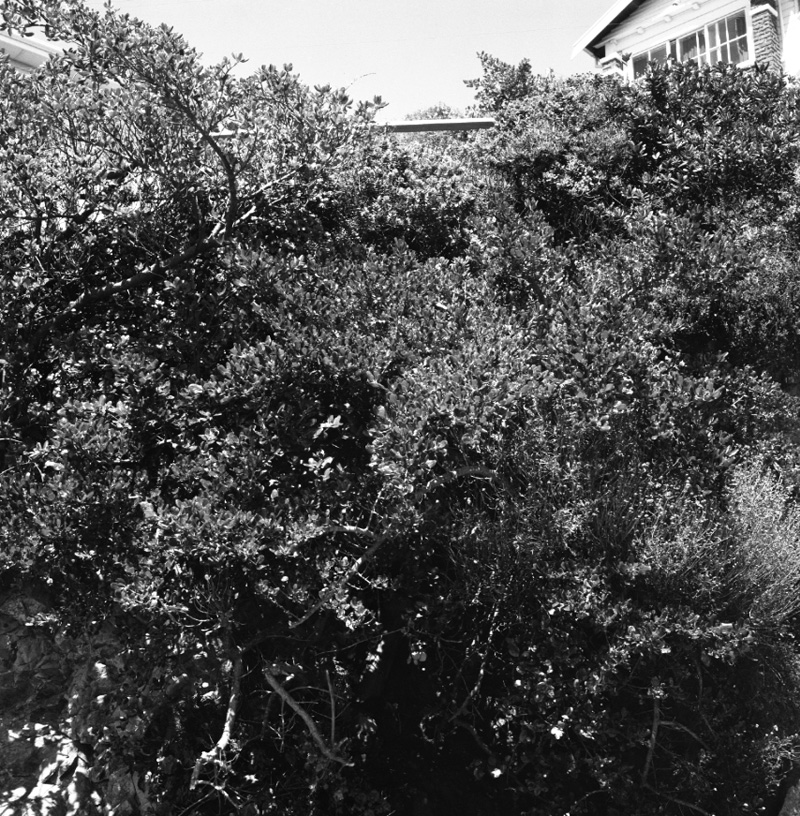 a. No 52 Roseneath Terrace