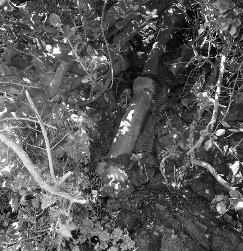 b. No 52 Roseneath Terrace