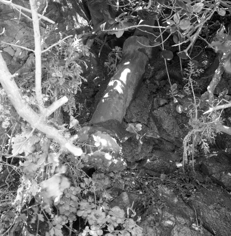 c. No 52 Roseneath Terrace