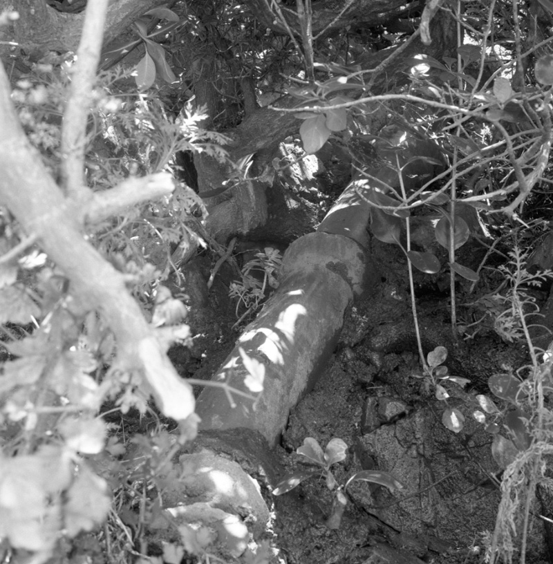 d. No 52 Roseneath Terrace