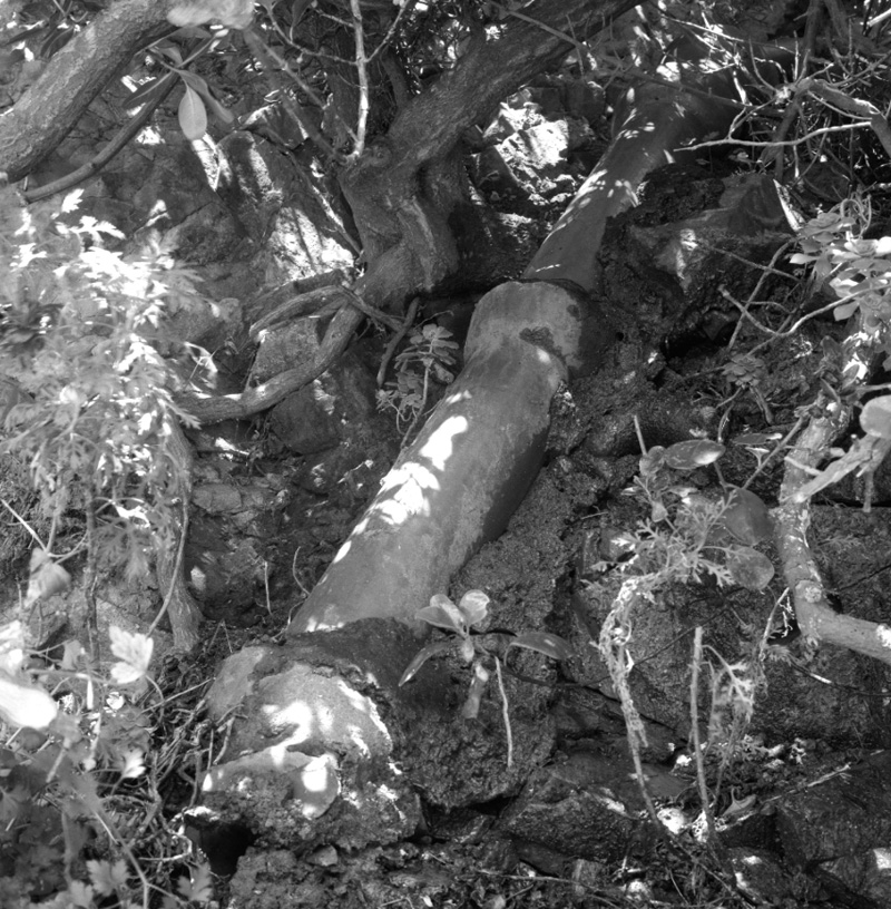 e. No 52 Roseneath Terrace