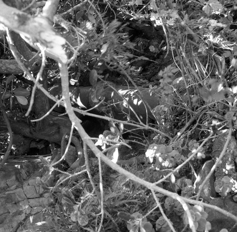 f. No 52 Roseneath Terrace