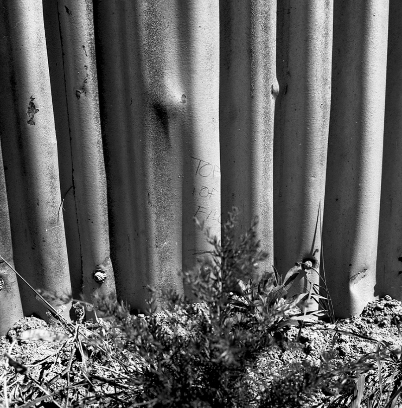 c. Boundary Fence, Miramar Park