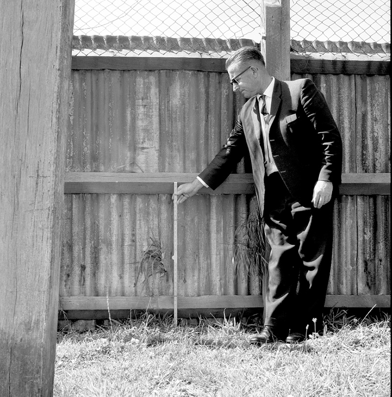 f. Boundary Fence, Miramar Park