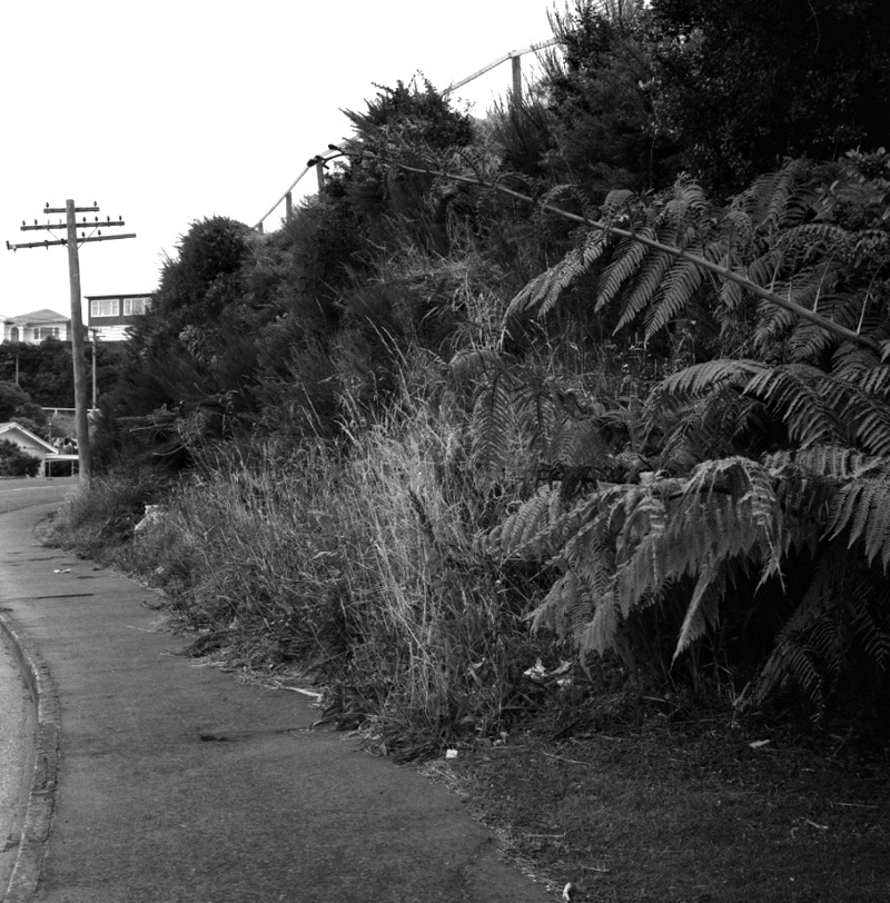 a. No 102 Farnham St