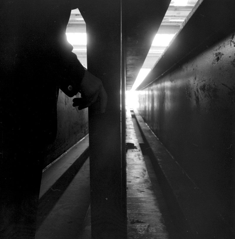 a. Steel beams for Box Hill Bridge, Petone