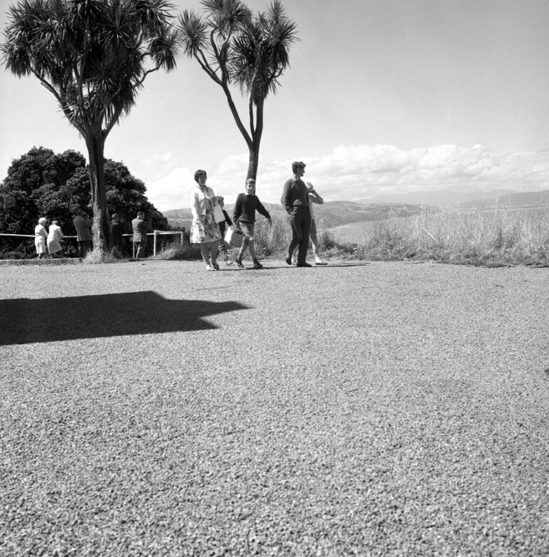 b. Skyline Restaurant, Kelburn