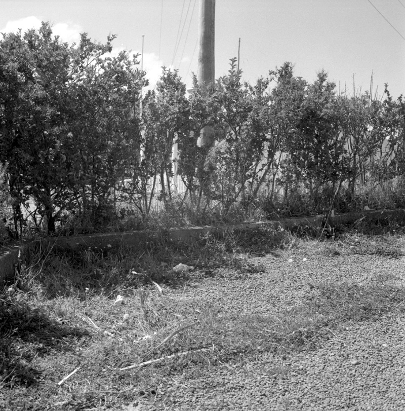 e. Skyline Restaurant, Kelburn