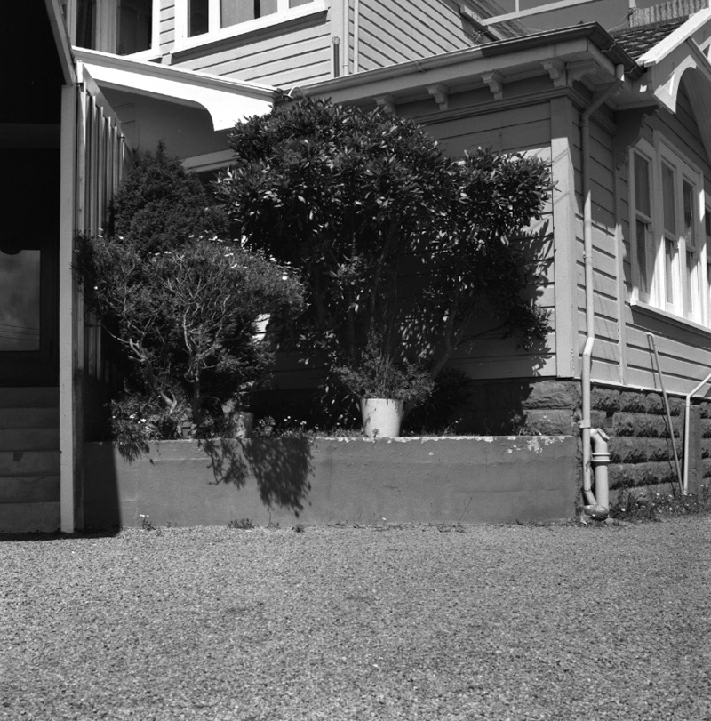 g. Skyline Restaurant, Kelburn