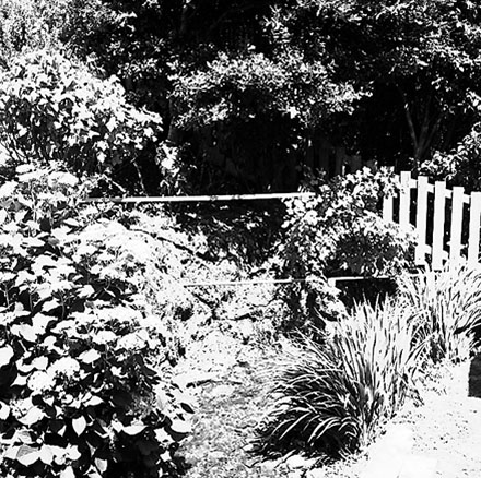 b. Bank covered in plants. Unidentified location