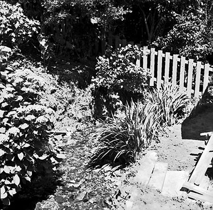 d. Bank covered in plants. Unidentified location