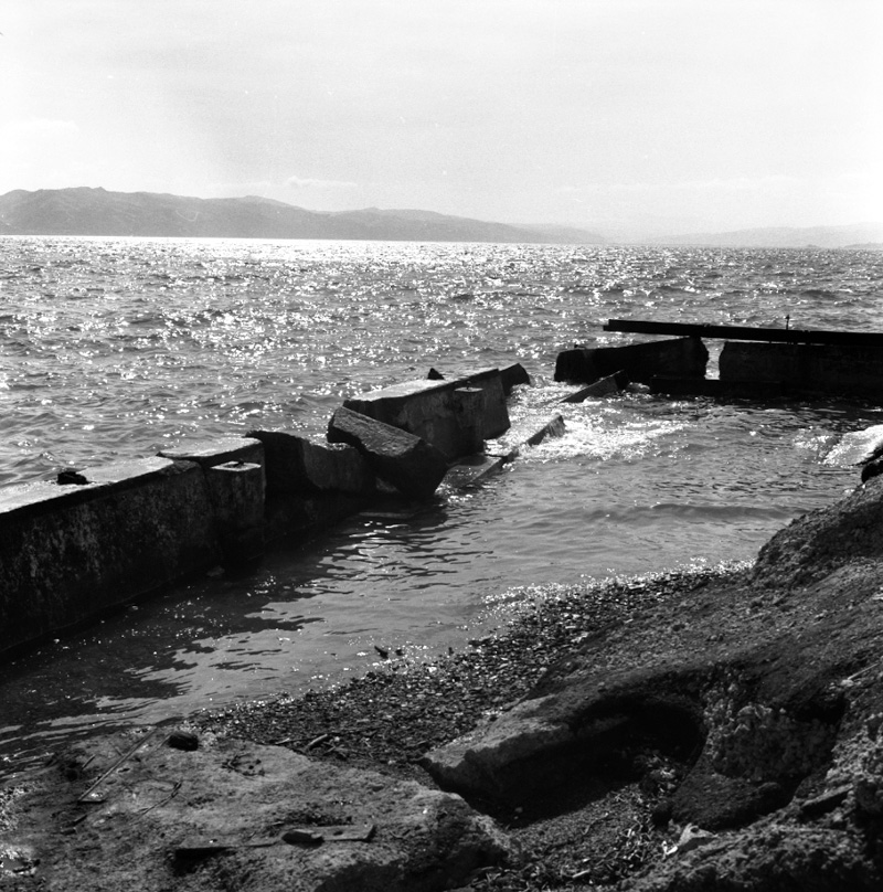 d. Seawall, Oriental Bay