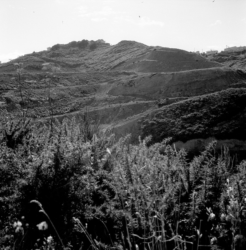 e. Panorama of Melrose