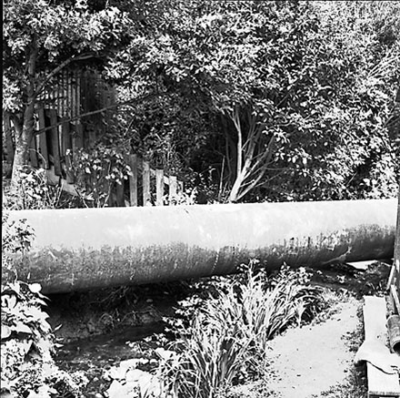 c. Unable to determine which job these negatives relate to - Job 7024; Job 7068