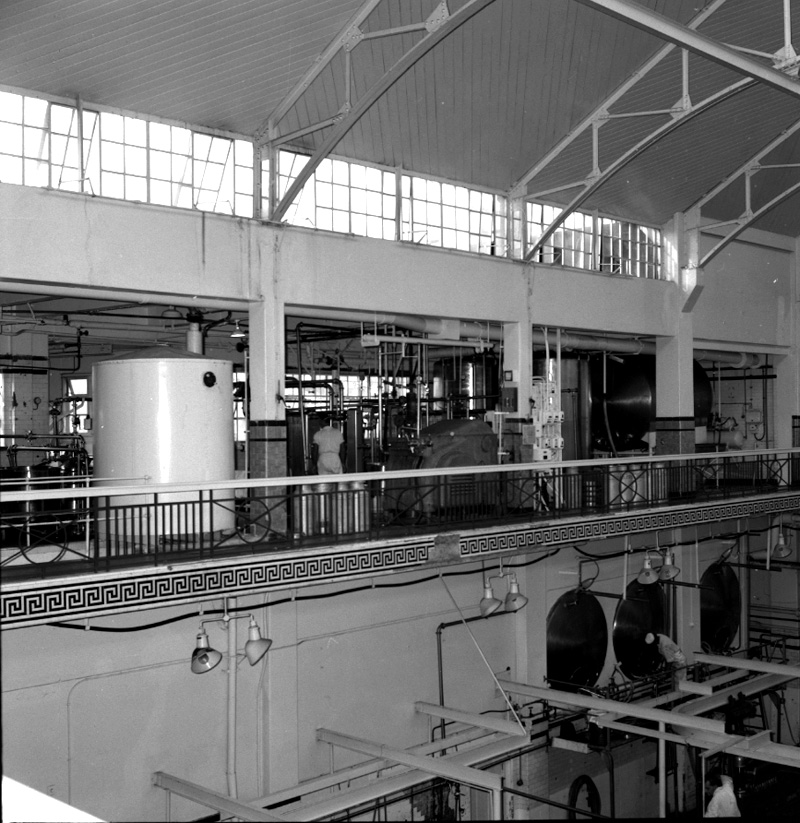 g. Milk Dept, Tory St