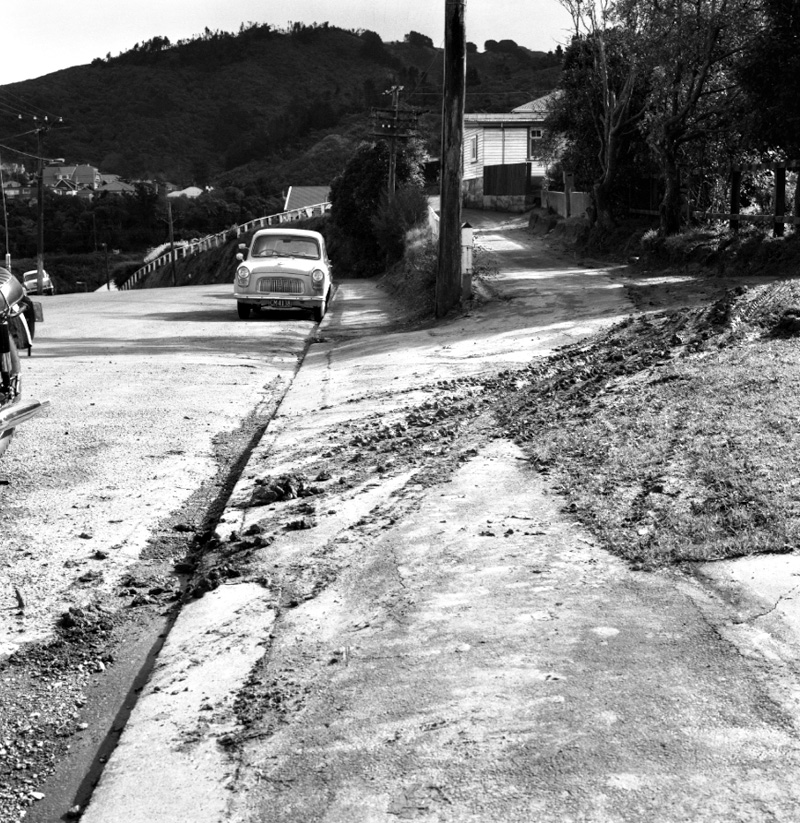 a. No 57 Cashmere Avenue