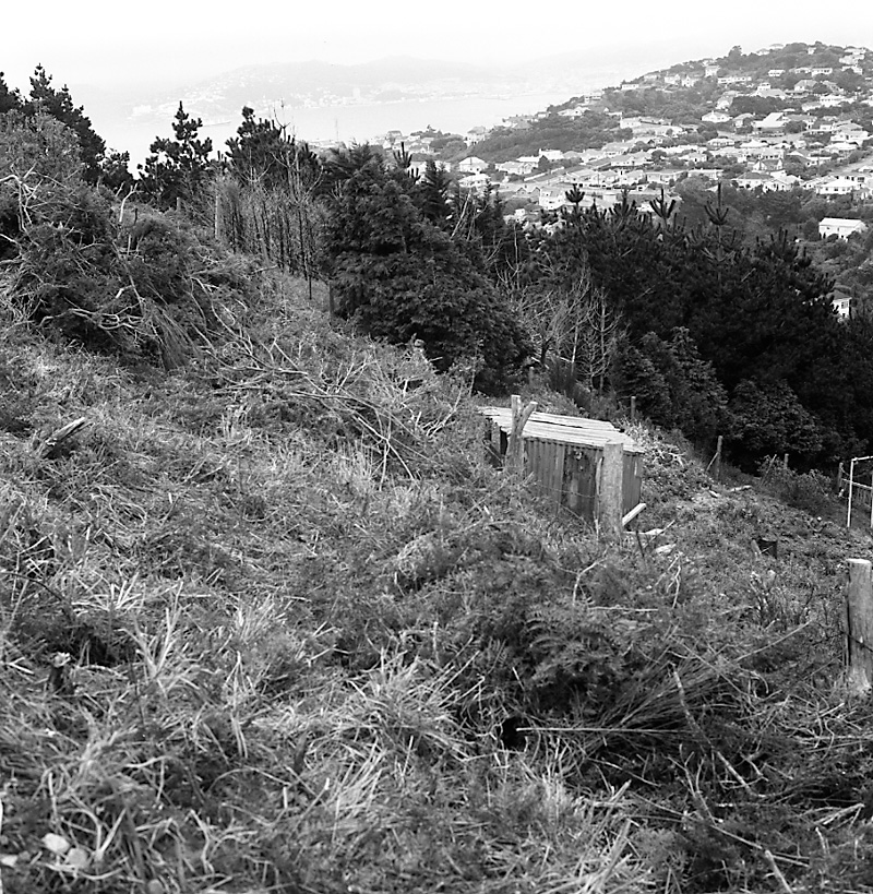 c. Rangoon Street, Khandallah Development