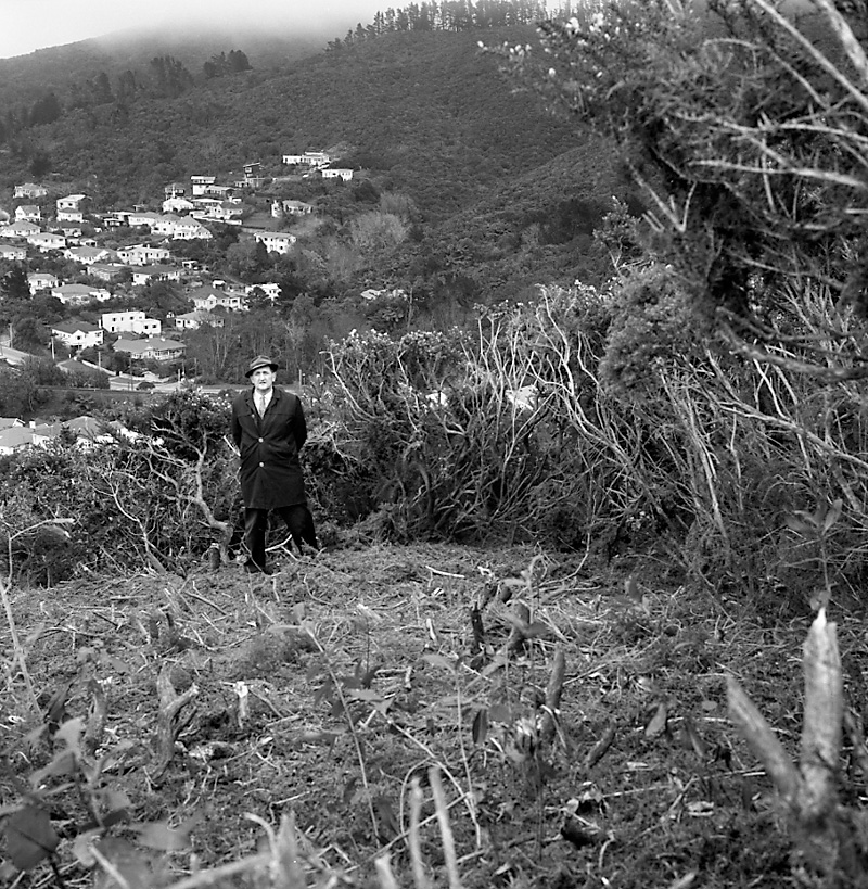 e. Rangoon Street, Khandallah Development