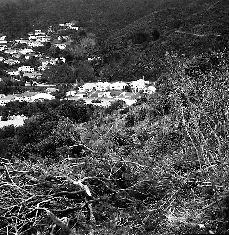 f. Rangoon Street, Khandallah Development