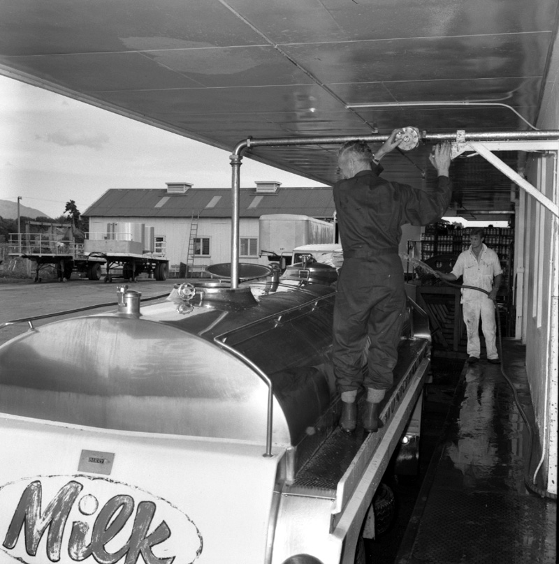 b. Milk station, Rahui