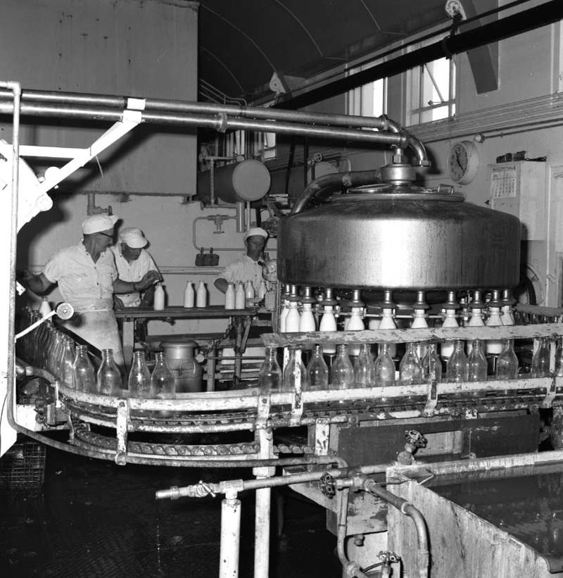 e. Milk station, Rahui