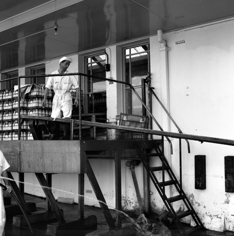 h. Milk station, Rahui