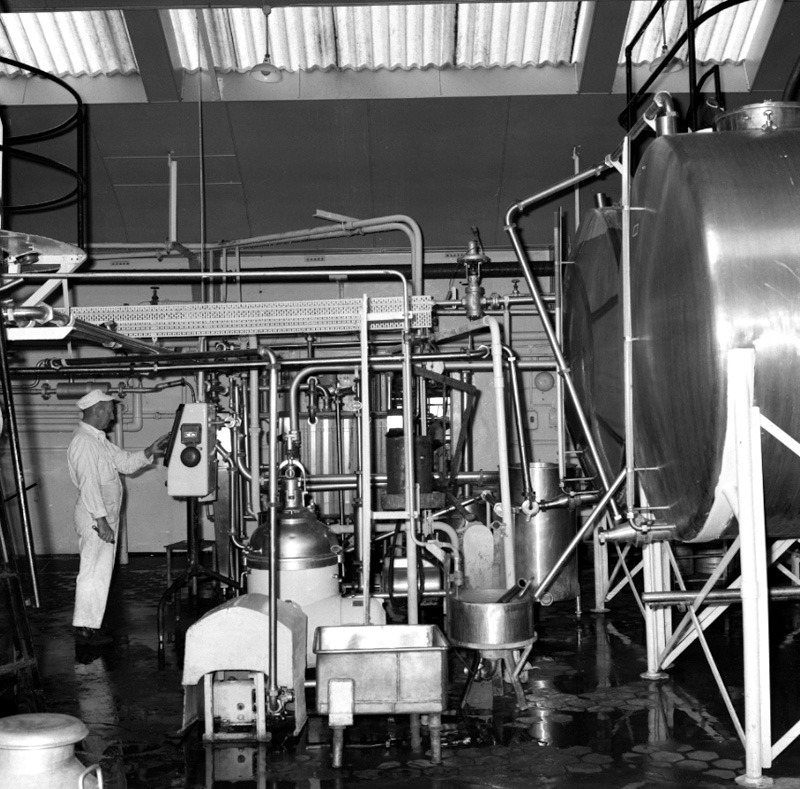 k. Milk station, Rahui