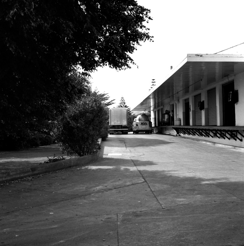 r. Milk station, Rahui