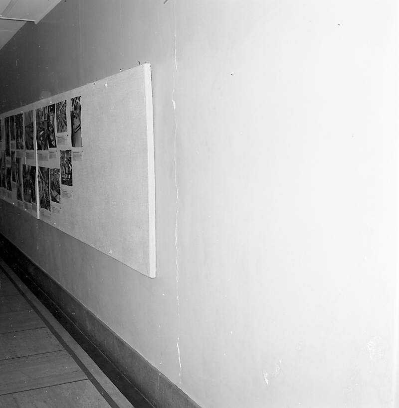 a. Central Library, Cracked walls