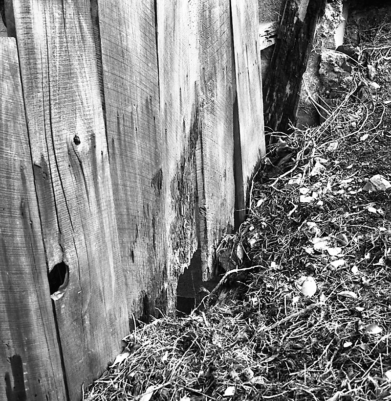 a. Fence, No 118 Overtoun Terrace