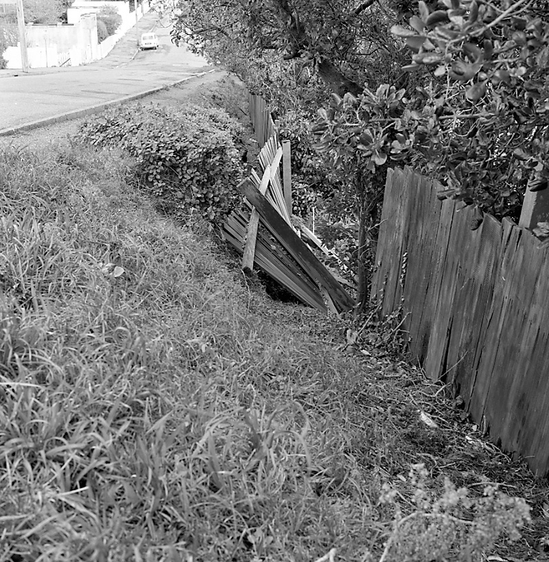 c. Fence, No 118 Overtoun Terrace