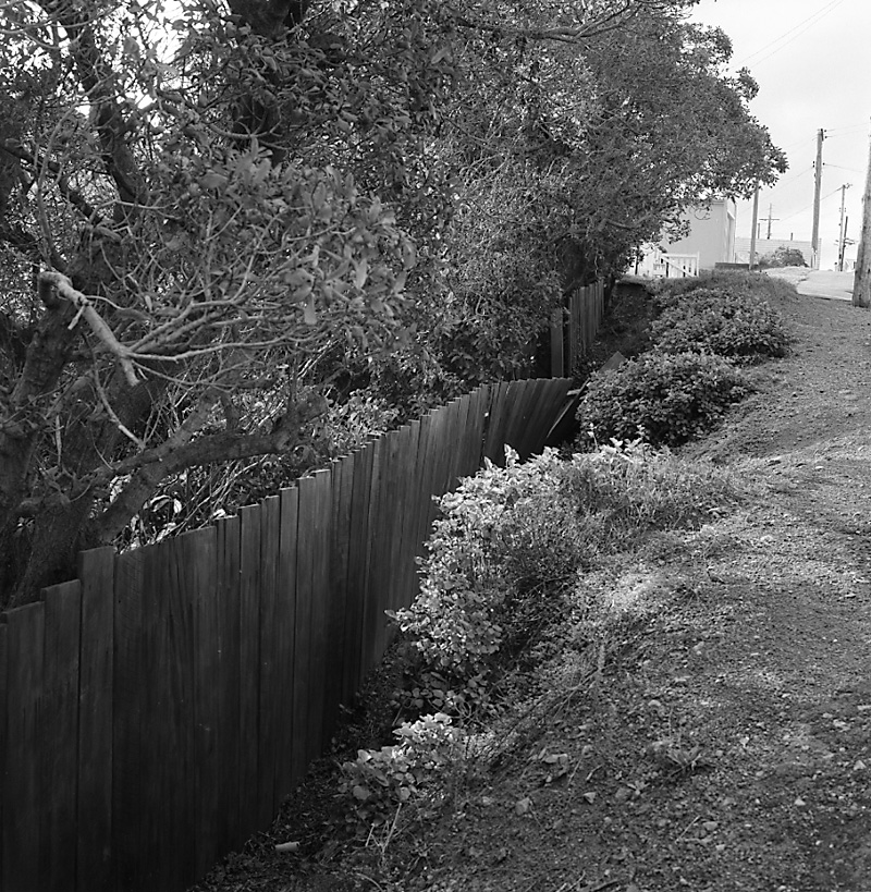 b. No 118 Overtoun Terrace
