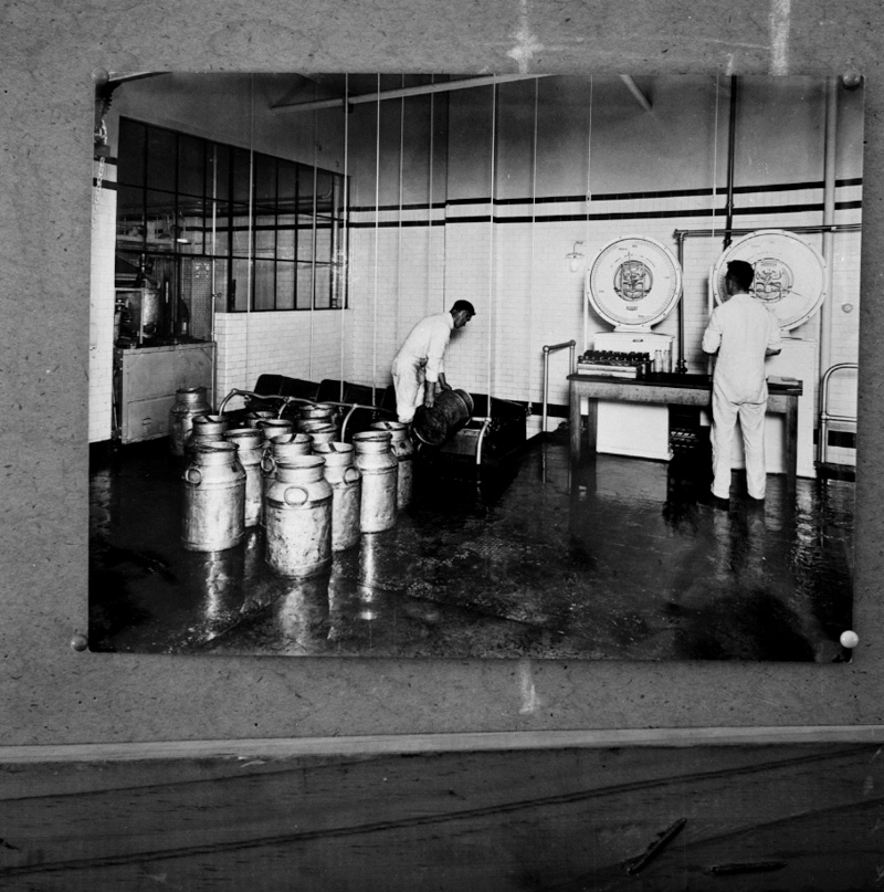 b. Copies, old photos, milk dept