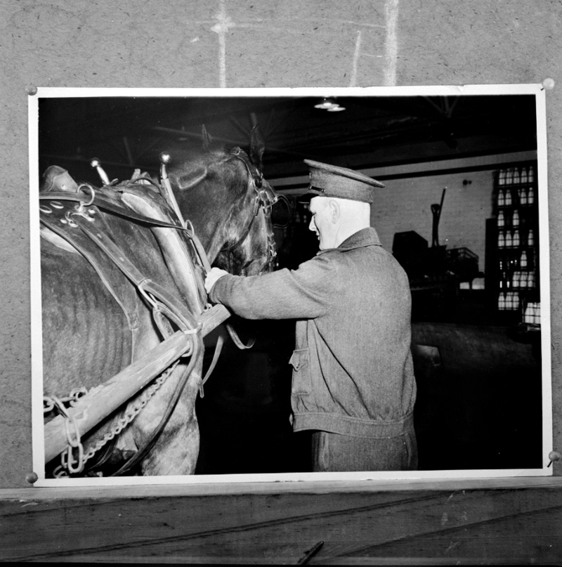 f. Copies, old photos, milk dept