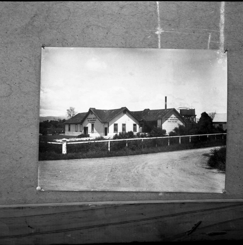 i. Copies, old photos, milk dept