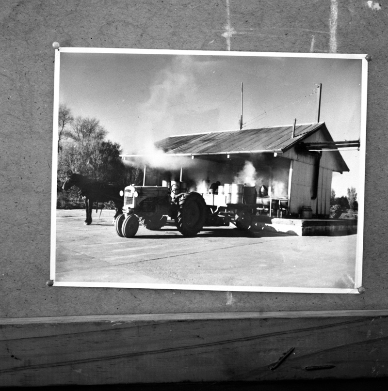 j. Copies, old photos, milk dept