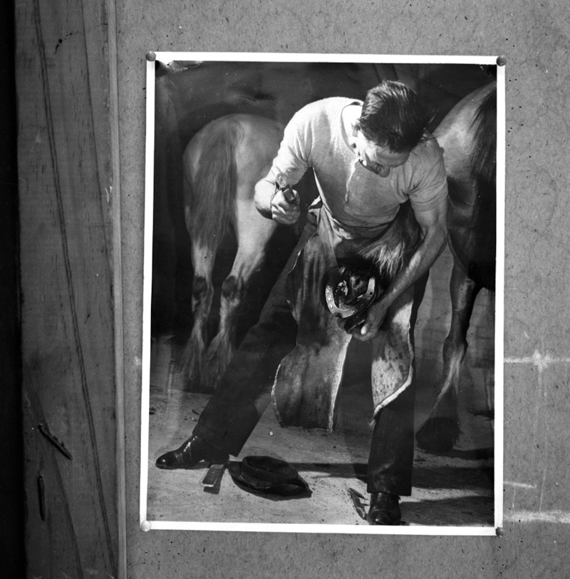 t. Copies, old photos, milk dept