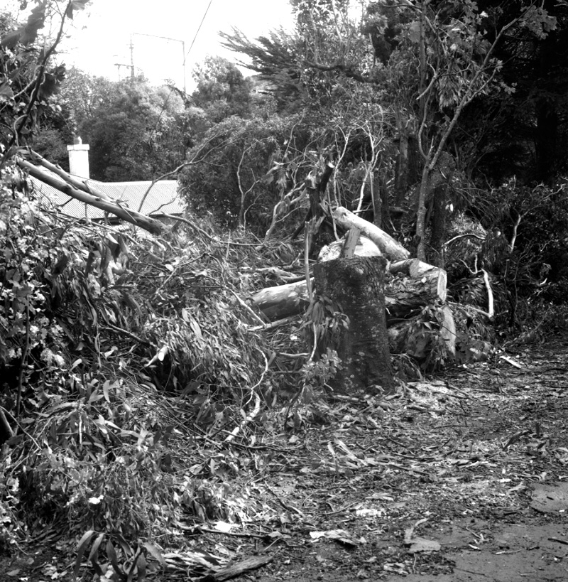 h. No 75 Delhi Crescent