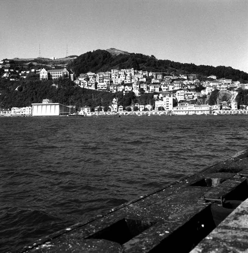 a. Oriental Bay Development