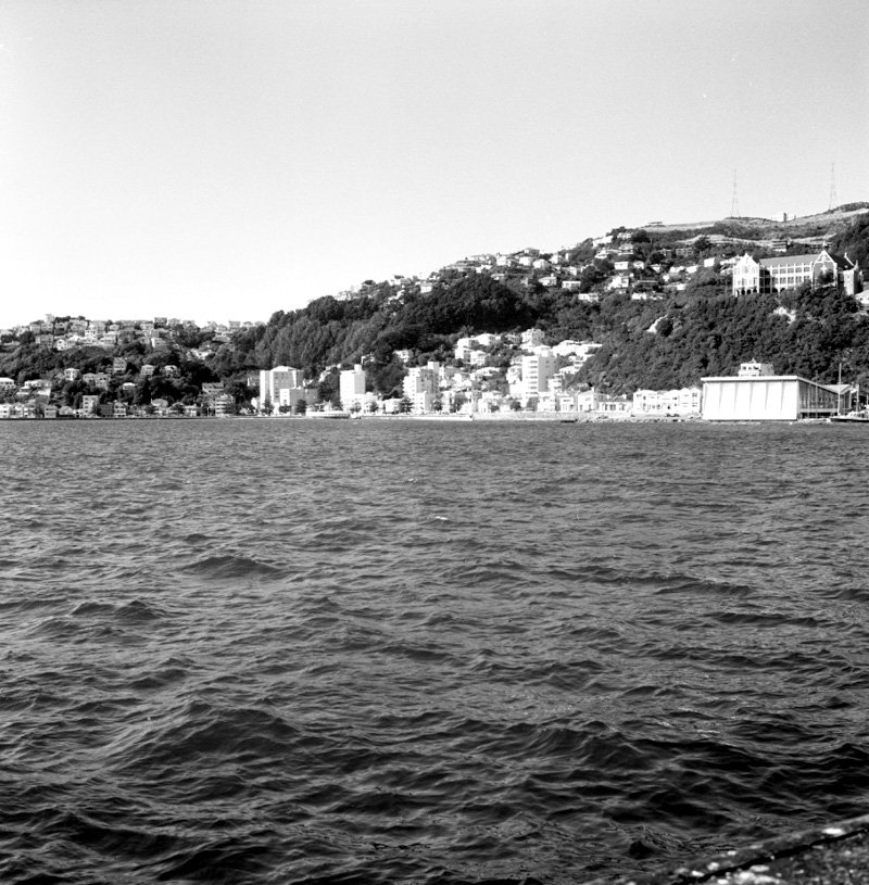 c. Oriental Bay Development