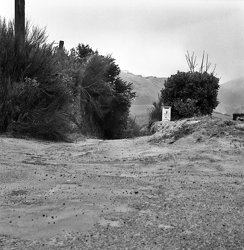 c. Maldive Street and Burma Road, Khandallah