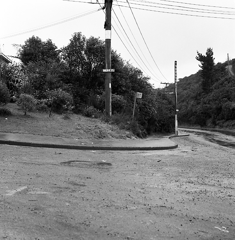 e. Maldive Street and Burma Road, Khandallah